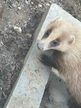 沖縄こどもの国に投稿された画像（2026/4/2）