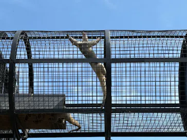 沖縄こどもの国に投稿された画像（2026/4/2）