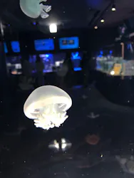 名古屋港水族館に投稿された画像（2026/4/2）