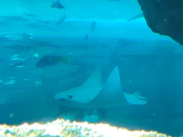 名古屋港水族館に投稿された画像（2026/4/2）