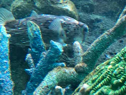 名古屋港水族館に投稿された画像（2026/4/2）