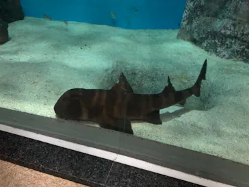 名古屋港水族館に投稿された画像（2026/4/2）
