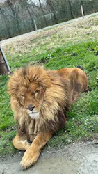 那須サファリパークに投稿された画像（2026/4/2）