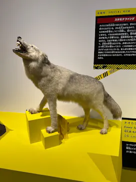 特別展「超危険生物展　科学で挑む生き物の本気」に投稿された画像（2026/4/2）