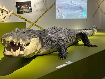 特別展「超危険生物展　科学で挑む生き物の本気」に投稿された画像（2026/4/2）