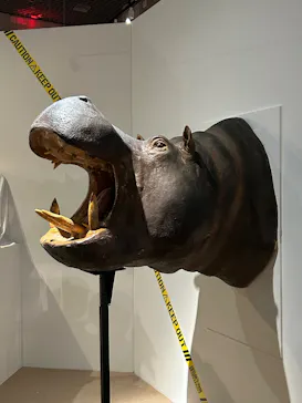 特別展「超危険生物展　科学で挑む生き物の本気」に投稿された画像（2026/4/2）