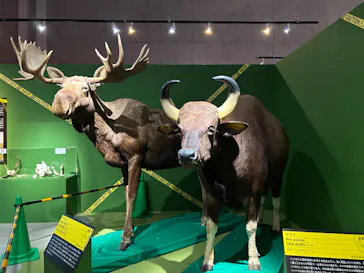 特別展「超危険生物展　科学で挑む生き物の本気」に投稿された画像（2026/4/2）