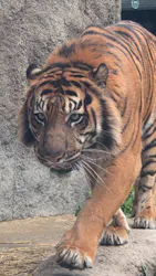 神戸どうぶつ王国に投稿された画像（2026/4/2）