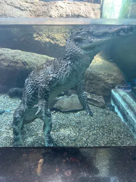 天王寺動物園に投稿された画像（2026/4/2）