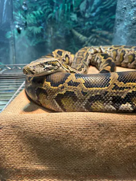 天王寺動物園に投稿された画像（2026/4/2）