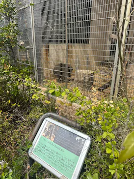 天王寺動物園に投稿された画像（2026/4/2）