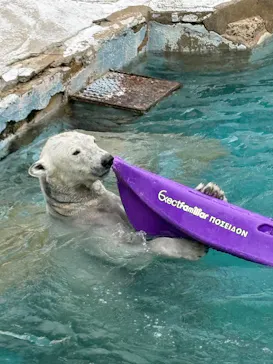 天王寺動物園に投稿された画像（2026/4/2）