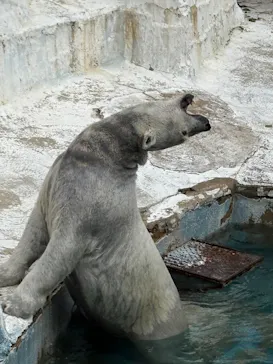 天王寺動物園に投稿された画像（2026/4/2）