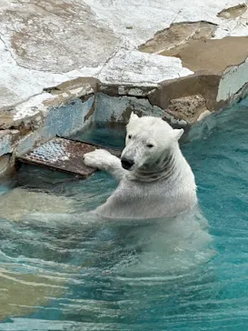 天王寺動物園に投稿された画像（2026/4/2）