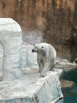 天王寺動物園に投稿された画像（2026/4/2）