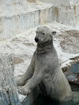 天王寺動物園に投稿された画像（2026/4/2）