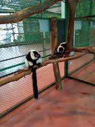 那須ワールドモンキーパークに投稿された画像（2026/4/2）