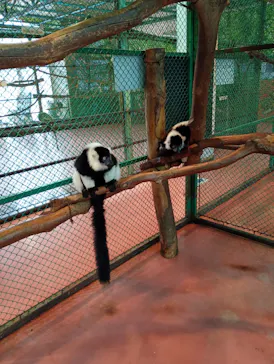 那須ワールドモンキーパークに投稿された画像（2026/4/2）