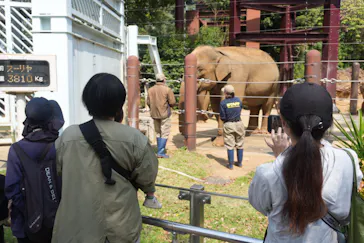恩賜上野動物園に投稿された画像（2026/4/2）