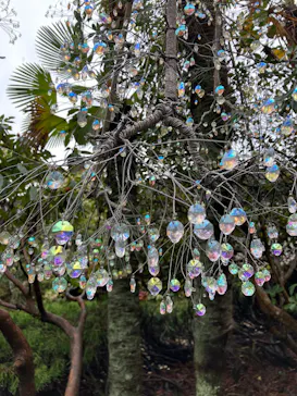 箱根ガラスの森美術館に投稿された画像（2026/4/2）