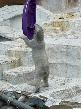 天王寺動物園に投稿された画像（2026/4/2）