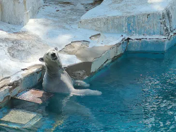 天王寺動物園に投稿された画像（2026/4/2）