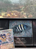 新江ノ島水族館に投稿された画像（2026/4/2）