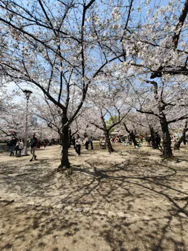 大阪城公園 西の丸庭園に投稿された画像（2026/4/2）