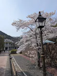 博物館 明治村に投稿された画像（2026/4/2）