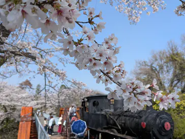 博物館 明治村に投稿された画像（2026/4/2）