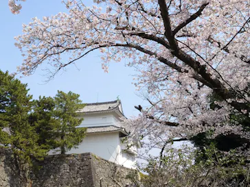 名古屋城に投稿された画像（2026/4/2）