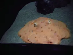 サンシャイン水族館に投稿された画像（2026/4/2）