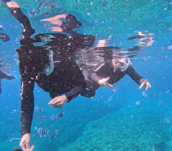 武藤潜水に投稿された画像（2026/4/2）