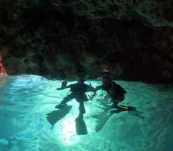 武藤潜水に投稿された画像（2026/4/2）