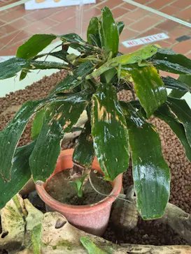 おきなわワールドに投稿された画像（2026/4/2）