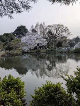 新宿御苑に投稿された画像（2026/4/2）
