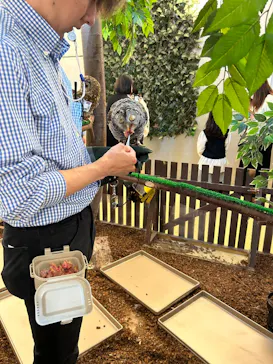 Moff animal cafe イオンモール幕張新都心店に投稿された画像（2026/4/2）