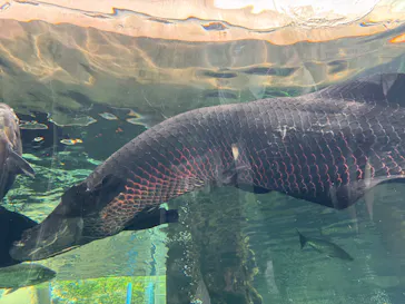 栃木県なかがわ水遊園に投稿された画像（2026/4/2）