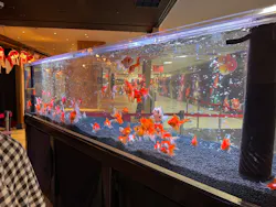 NARA KINGYO MUSEUMに投稿された画像（2026/4/2）