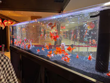 NARA KINGYO MUSEUMに投稿された画像（2026/4/2）