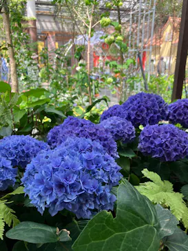 安城産業文化公園デンパークに投稿された画像（2026/4/2）