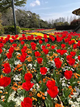 安城産業文化公園デンパークに投稿された画像（2026/4/2）