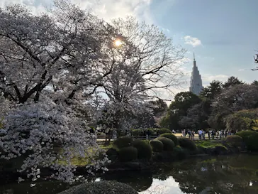 新宿御苑に投稿された画像（2026/4/2）