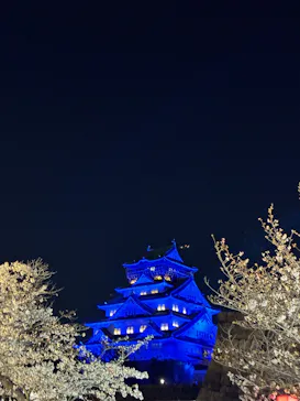 大阪城公園 西の丸庭園に投稿された画像（2026/4/2）