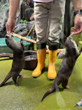 竹島水族館に投稿された画像（2026/4/3）
