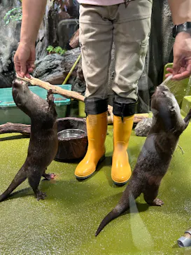 竹島水族館に投稿された画像（2026/4/2）