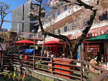 浅草花やしきに投稿された画像（2026/4/2）