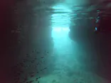 武藤潜水に投稿された画像（2026/4/3）