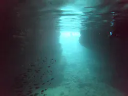 武藤潜水に投稿された画像（2026/4/3）