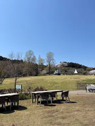 いばらきフラワーパークに投稿された画像（2026/4/3）